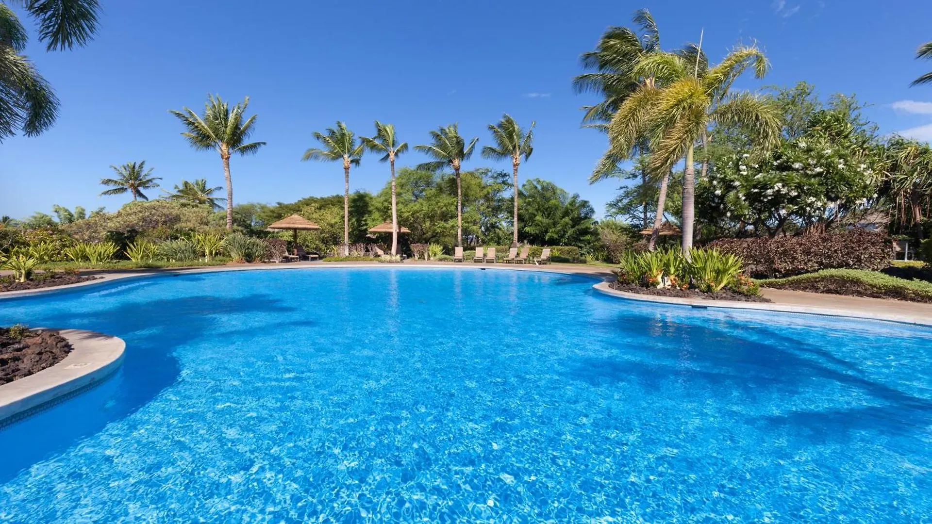 Big Island Oasis ~ Family Oasis Beach Gear Bikes Ping Pong Beach Club Included Waikoloa Holiday home