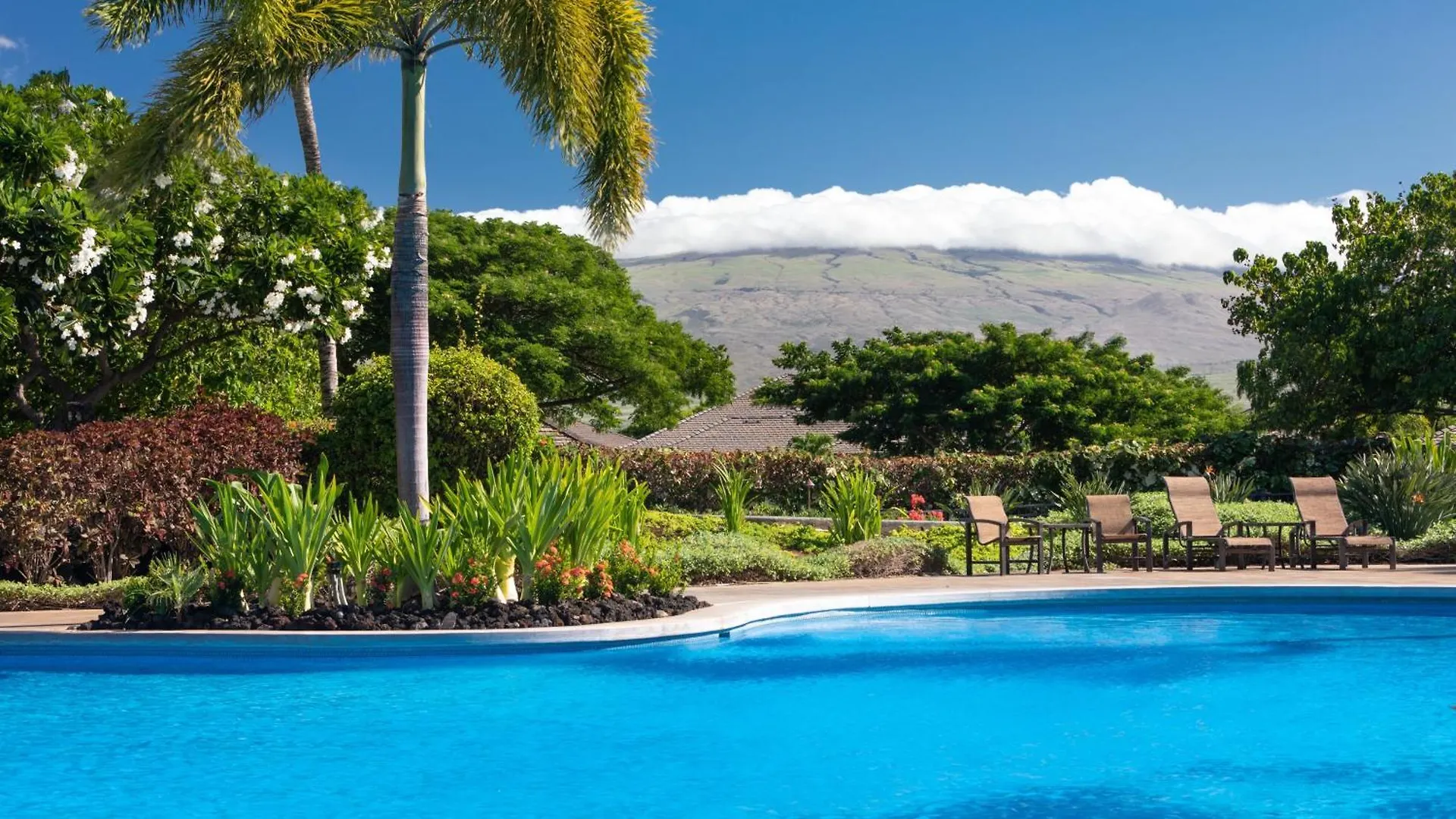 Big Island Oasis ~ Family Oasis Beach Gear Bikes Ping Pong Beach Club Included Waikoloa 0*,