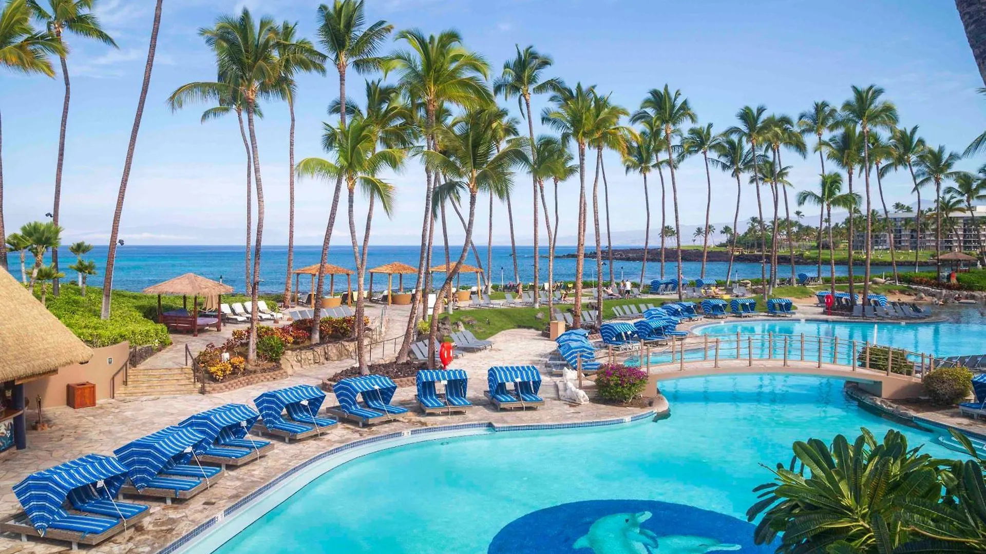 Big Island Oasis ~ Family Oasis Beach Gear Bikes Ping Pong Beach Club Included Waikoloa 0*,  United States