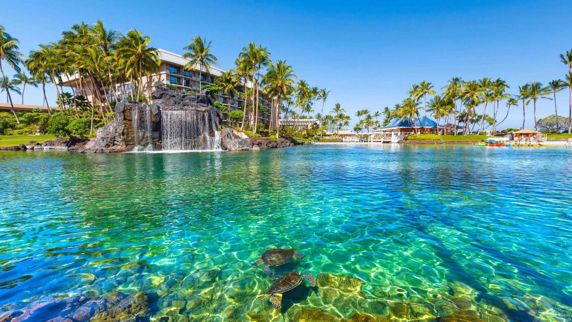 Holiday home Big Island Oasis ~ Family Oasis Beach Gear Bikes Ping Pong Beach Club Included Waikoloa