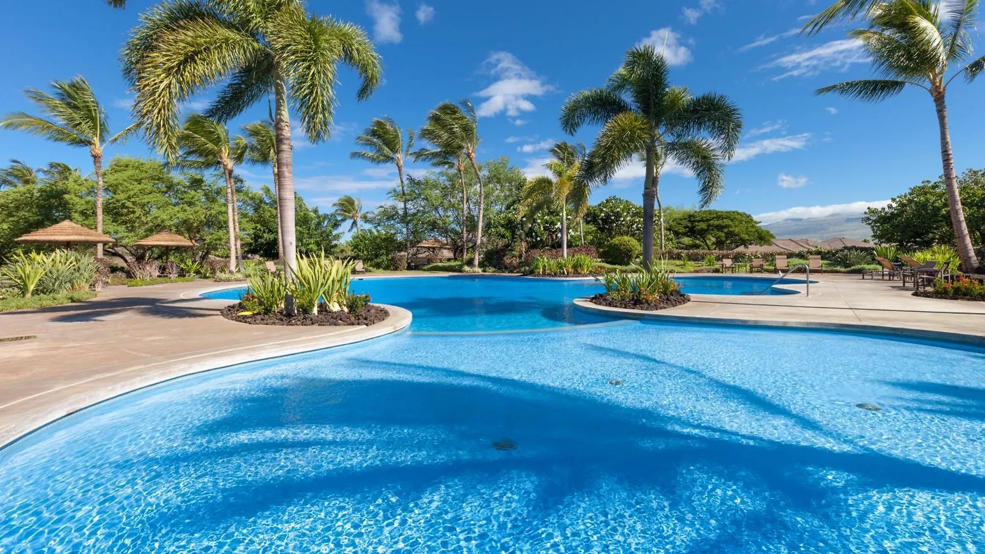 Big Island Oasis ~ Family Oasis Beach Gear Bikes Ping Pong Beach Club Included Waikoloa
