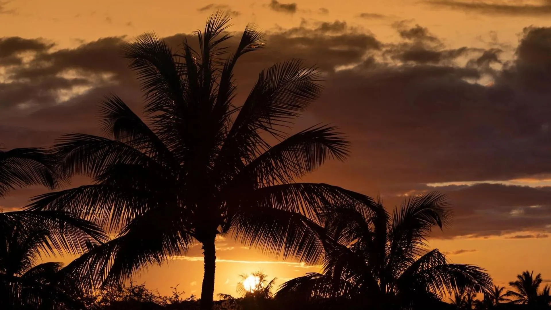 Big Island Oasis ~ Family Oasis Beach Gear Bikes Ping Pong Beach Club Included Waikoloa Σπίτι διακοπών